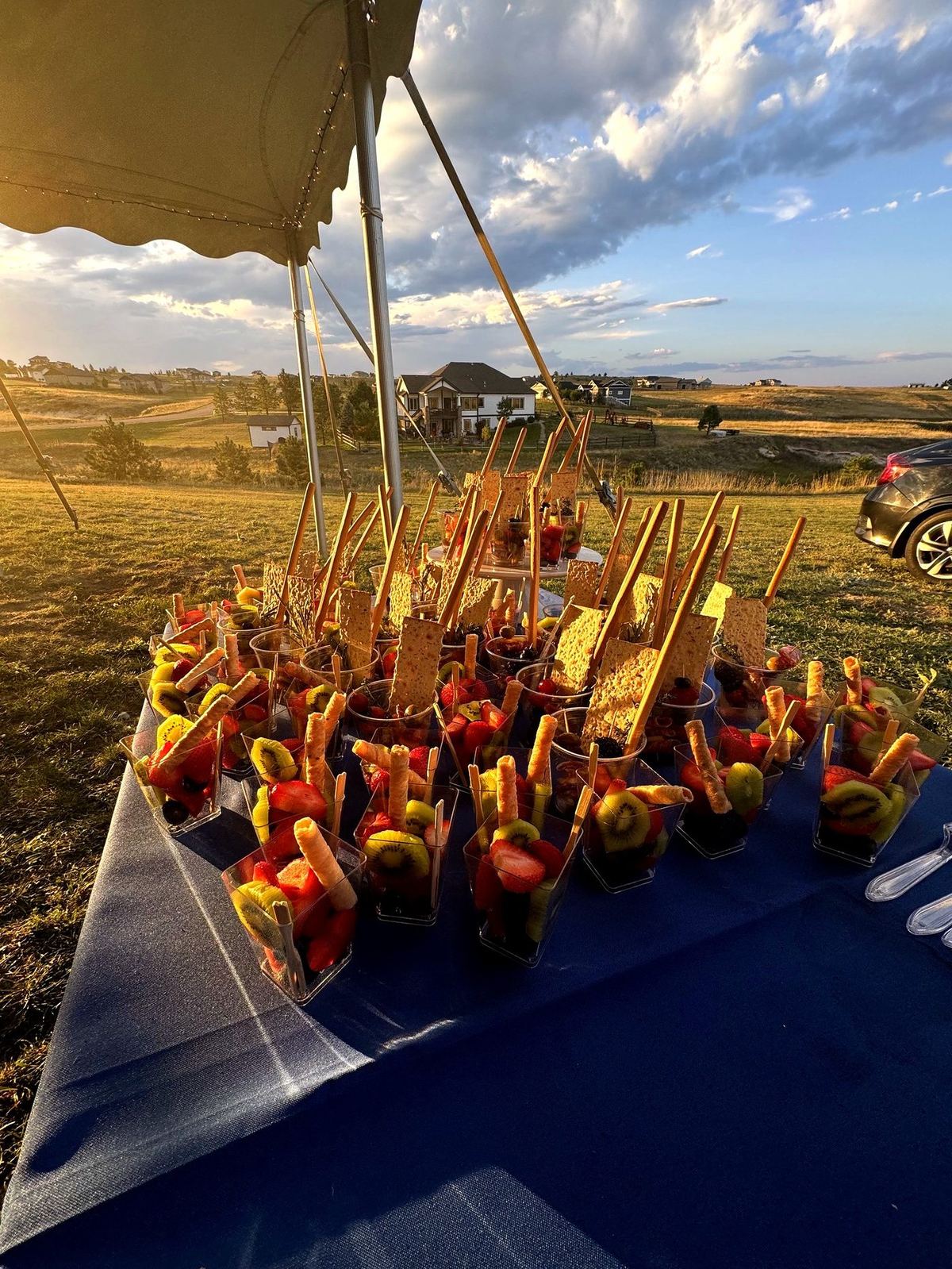 Golden-hour passed appetizer skewers at an outdoor luxury catering event